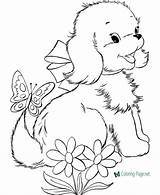 Coloring Dog Dogs Printable Pages Color Below Click sketch template