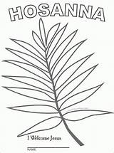 Palm Sunday Coloring Branch School Kids Template Leaf Easter Crafts Pages Drawing Craft Preschool Activities Lesson Color Children Print Getdrawings sketch template