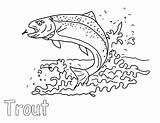 Trout Coloring Pages Apache Insect Eat sketch template