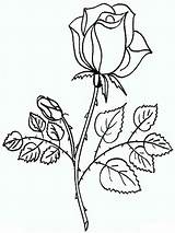 Rose Coloring Pages Flower Printable Flowers Print sketch template