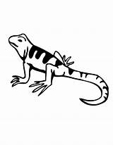 Lizard Coloring Pages Cartoon Lizards Color Printable Kids Clip Clipart Gecko Cliparts Graphics Print Drawings Library Coloringhome Recognition Creativity Ages sketch template
