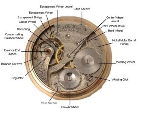 explore  pocket watchs insides    wired