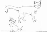 Cats Warrior Coloring Pages Two Printable Adults Kids sketch template