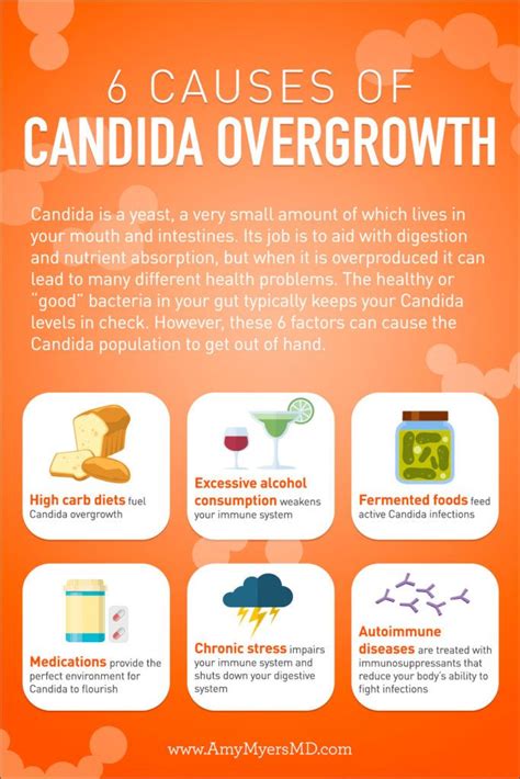 10 signs you have candida overgrowth and how to eliminate it