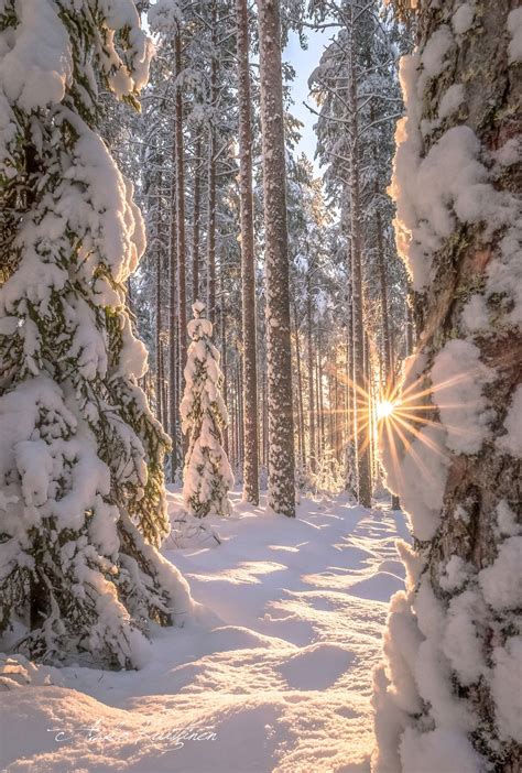 beautiful landscapes beautiful places beautiful winter pictures