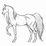 Arabian Lineart Coloring Pages Horses Deviantart Unicorn sketch template