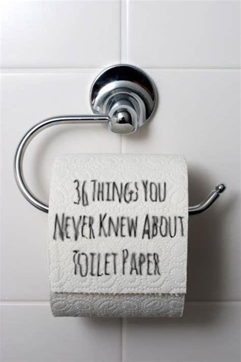 36 Weird Things You Never Knew About Toilet Paper