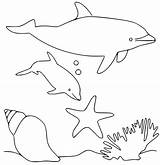 Porpoise Porpoises Harbour sketch template