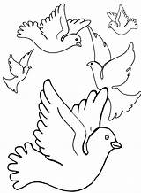 Burung Merpati Mewarnai Dara Animasi Bergerak Dapat sketch template