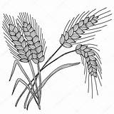Wheat Rye Field sketch template