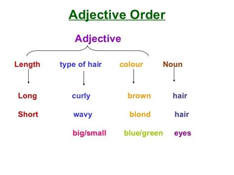 describing types  hair