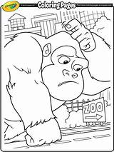 Giant Gorilla Coloring Monster Crayola Pages sketch template