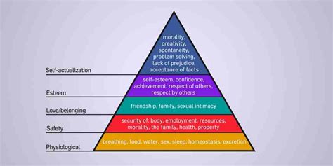 Maslow’s Hierarchy Of Basic Human Needs Rnpedia