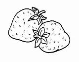 Erdbeere Strawberry Malvorlage Malvorlagen Erdbeer Coloringtop sketch template