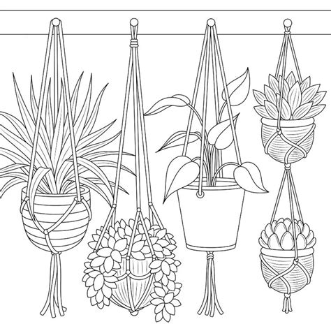 june colouring page coloring pages flower drawing art drawings simple