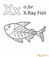 Fish Coloring Xray Pages Letter Printable Ray Color Kids Playinglearning Preschool Sheet Animal Uppercase Lowercase Sheets Through Book Popular Choose sketch template