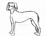 Saluki Drawing Squirrell sketch template