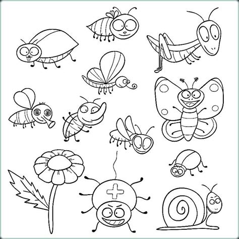 insect coloring pages  insects colouring pictures kids  insect