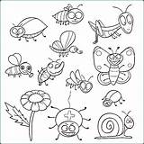 Insects Aplemontbasket sketch template