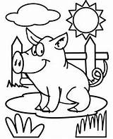 Pig Coloring Pages Flying Cartoon sketch template
