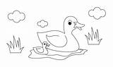 Coloring 30seconds Feathered sketch template