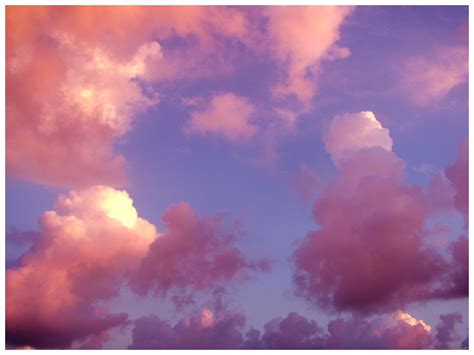 pink clouds       favorite  google image