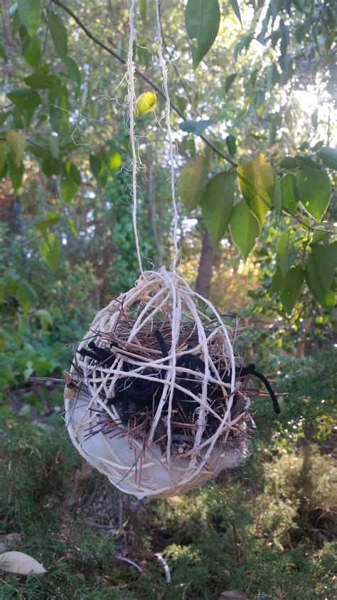 loopy  im hooked bird nesting material ball