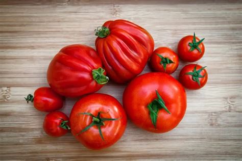 alle soorten tomaten en hoe te gebruiken bonen biet