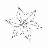 Poinsettia Outline Library sketch template