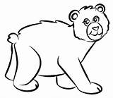 Bear Coloring Pages Print Kids sketch template