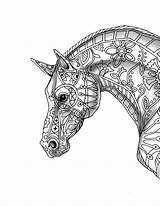 Coloring Pages Horse Drawing Beautiful Pro Adult Sketch Flowers Step Ak Print Books Printable Colouring Disaster Color Shade Decorative Getdrawings sketch template