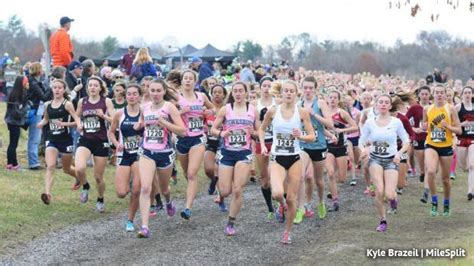 nxn northeast entries released