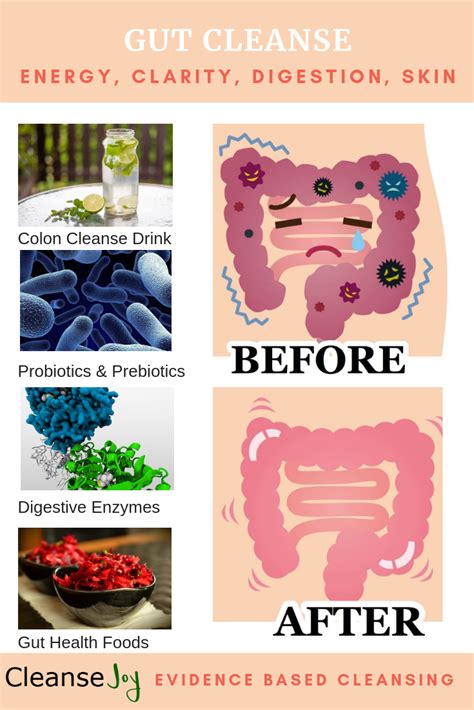 gut cleanse  complete digestive gut health plan detox drinks