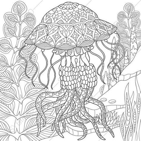 jellyfish coloring page adult coloring  coloringpageexpress coloring