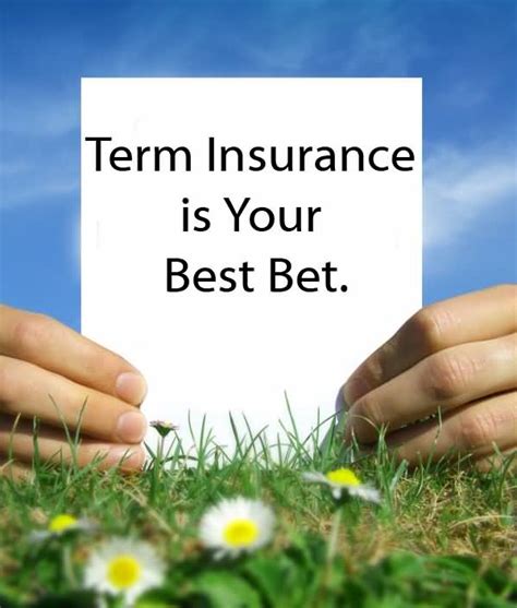 term life insurance quote  sayings quotesbae