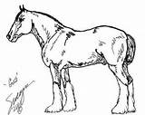 Clydesdale Coloring Pages Horse Draft Color Gus Horses Realistic Outline Drawings Getcolorings Kids Printable Print Getdrawings Template sketch template