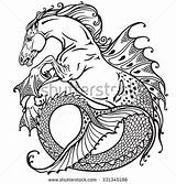 Kelpie Hippocampus Coloring Horse Sea Mythological Seahorse Drawings Vector Tattoo Tattoos 2kb 470px Creatures Shutterstock Animal Celtic Google Illustration sketch template