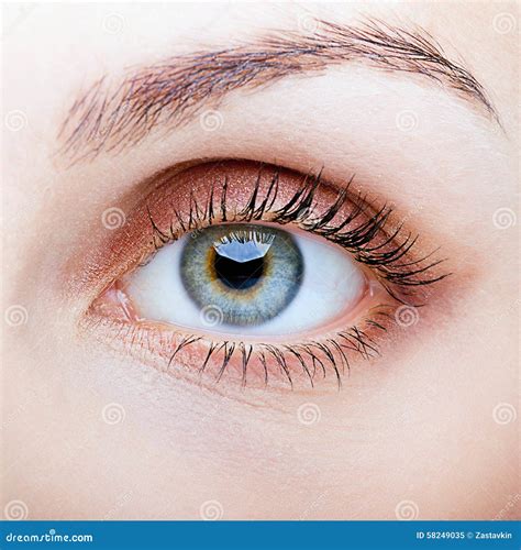 close   female face  eye makeup stock photo image