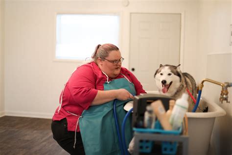 amys pet spa opens  muncie  pamper  pet ball state daily