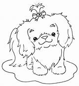 Tzu Shih Coloring Pages Dog Cute Color Digi Sliekje Puppy Embroidery Stamps Drawing Colouring Print Patterns Tekenen Dogs Getcolorings Bow sketch template