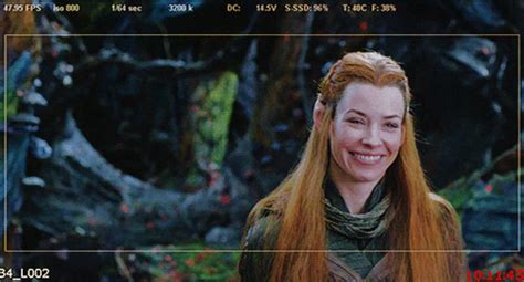 Mirkwood Elves S Find And Share On Giphy