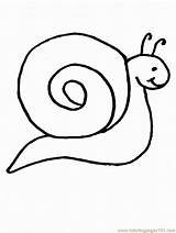 Snail Snails Coloring Printable Animals sketch template
