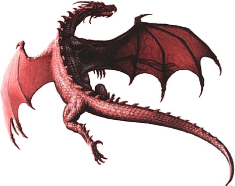 realistic dragon clipart   cliparts  images