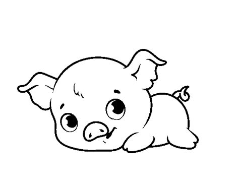 baby piggy coloring page coloringcrewcom