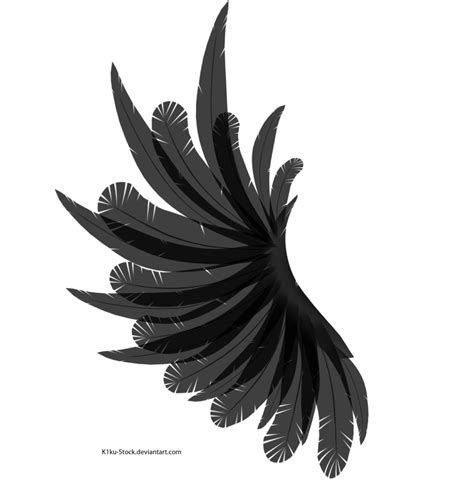 transparent darker black wing  kku stock  deviantart