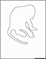 Outline Monkey Coloring Fun Printable sketch template