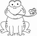 Frog Clipart Eating Fly Tongue Clip Cartoon Coloring Outline Drawing Toad Pages Tree Cliparts Frosch Line Funny Template Graphics Animals sketch template
