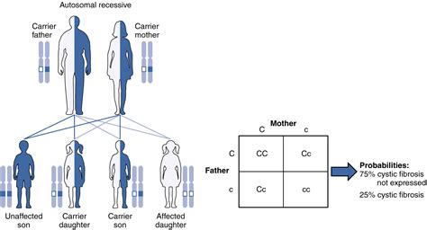 Patterns Of Inheritance · Anatomy And Physiology