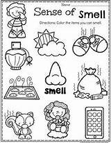 Senses Worksheet Smelling Planningplaytime Sentidos Playtime Maternelle Sens Ingles Groep Cuerpo Hojas Zintuigen Caras Activité sketch template