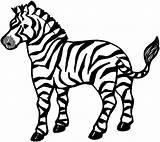 Zebra Coloring Template Printable Templates Pages sketch template